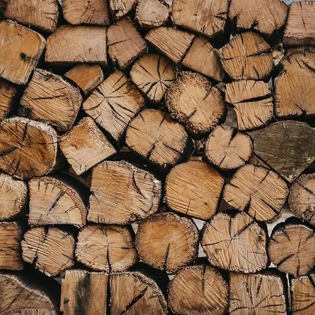 Ferienhaus El Corral Del Carteru - Casa Rosales