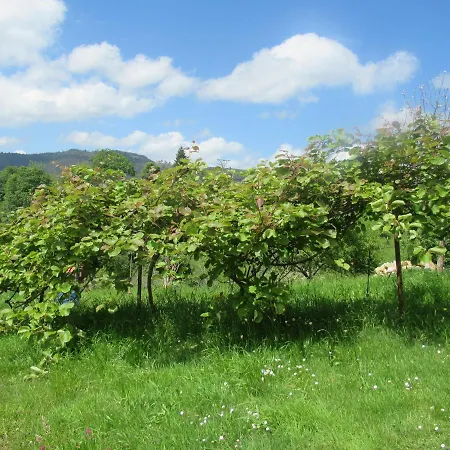 El Corral Del Carteru - Casa Rosales Ferienhaus Infiesto